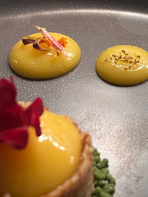 fancy lemon tart dessert